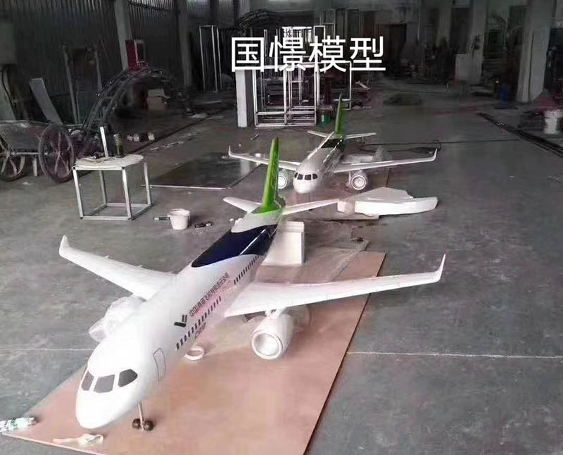 夹江县飞机模型